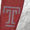 temple%20t%20snow.jpg